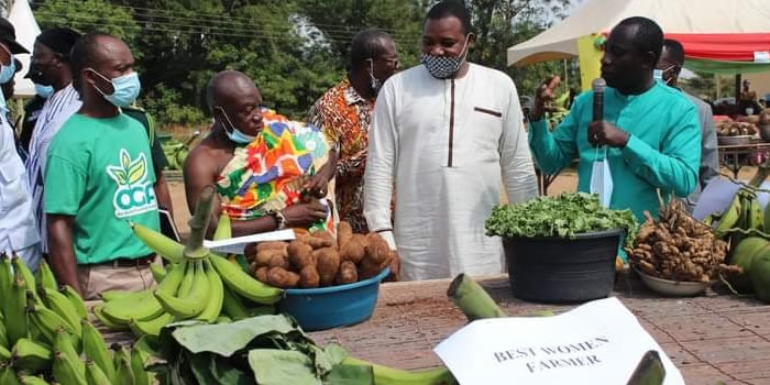 Obuasi Municipal 37th  Farmers Day Celebration 2021