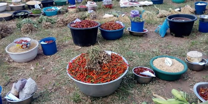 Sekyere Afram Plains  35th Farmers Day Celebration 2019